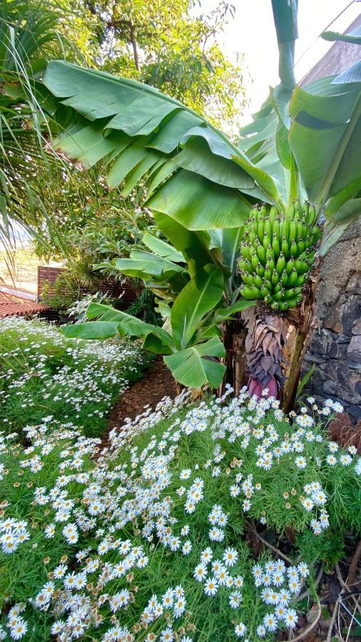 Casa Ideal Para Familias Com Vista Mar Desafogada Funchal  Extérieur photo