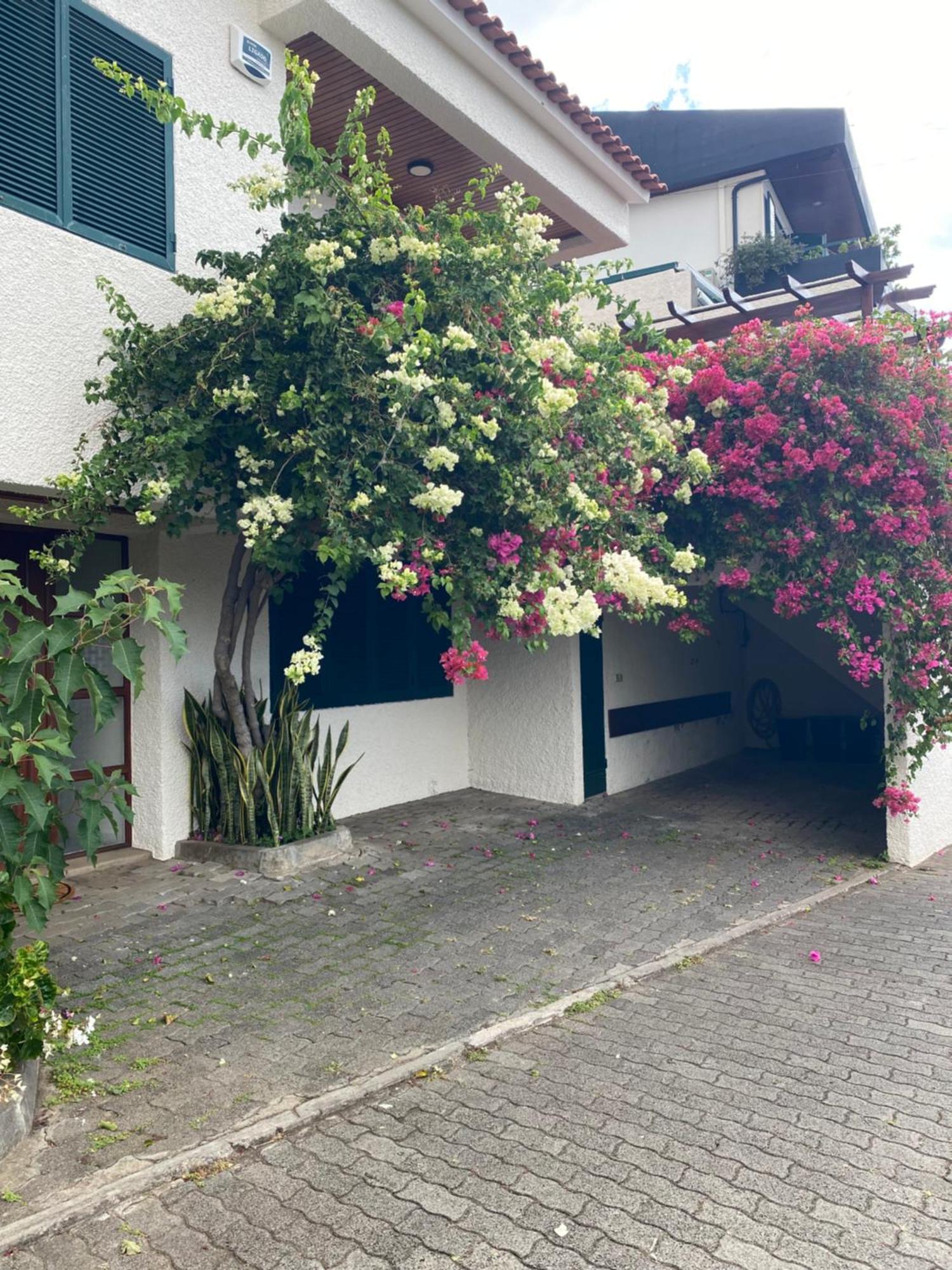 Casa Ideal Para Familias Com Vista Mar Desafogada Funchal  Extérieur photo